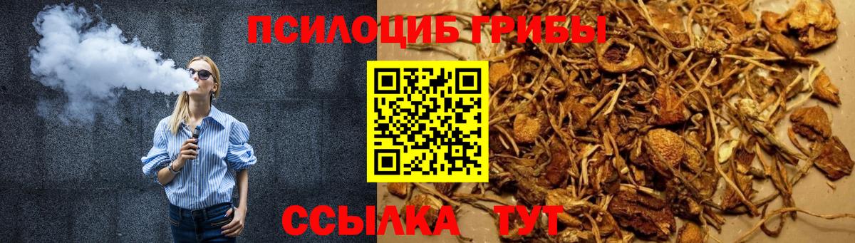 Балаково  Псилоцибиновые грибы ЛСД  Вход с VPN 